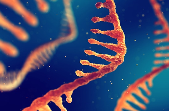 Illustration of RNA molecules