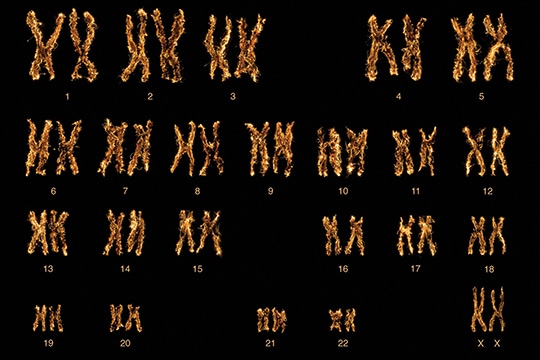 Cancer Genomics