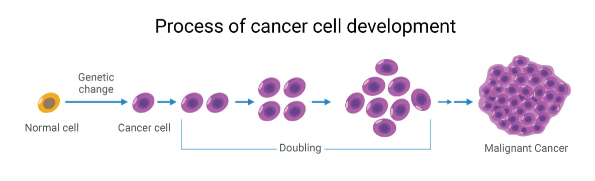 Cancer Genomics