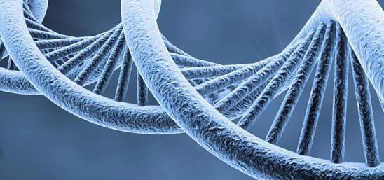 SureSelect Cancer NGS Assays