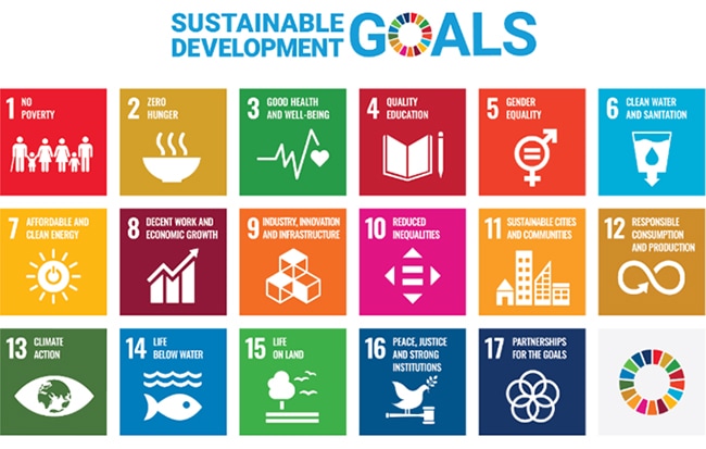 Sustainable development goals