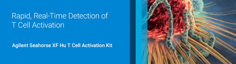 Rapid, Real-Time Detection of ?T Cell Activation?