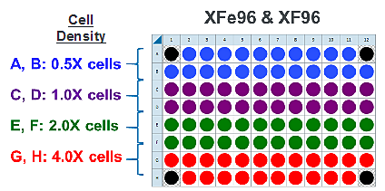 細胞密度 XFe96