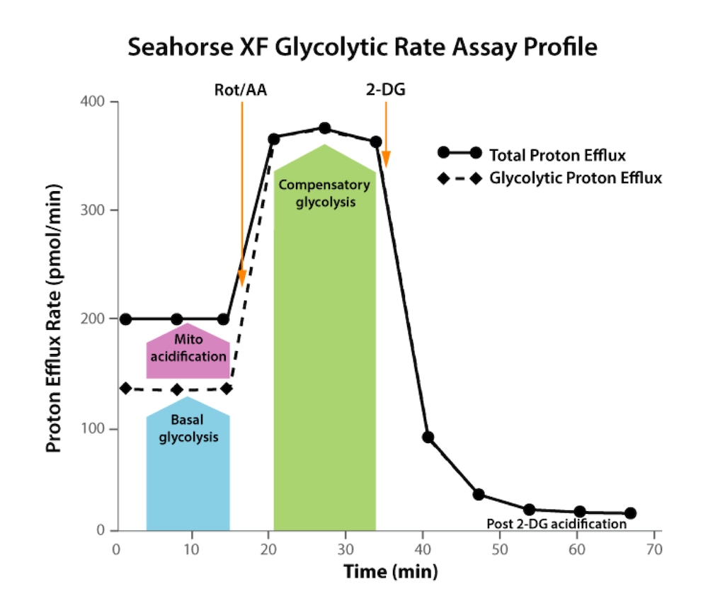 GRA bio profile