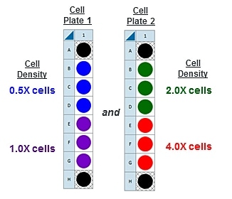 Plate Map XFp