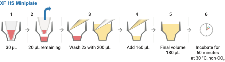 Port layout