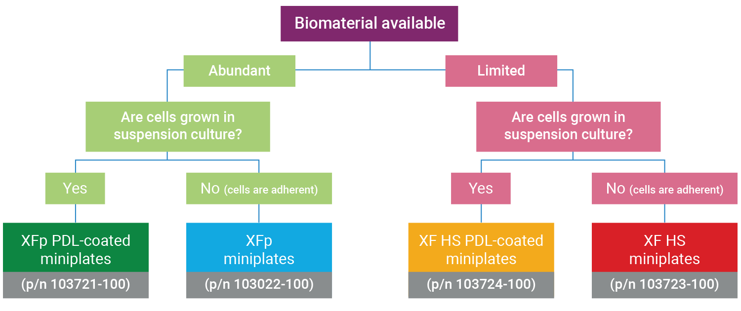 XFHS decision tree