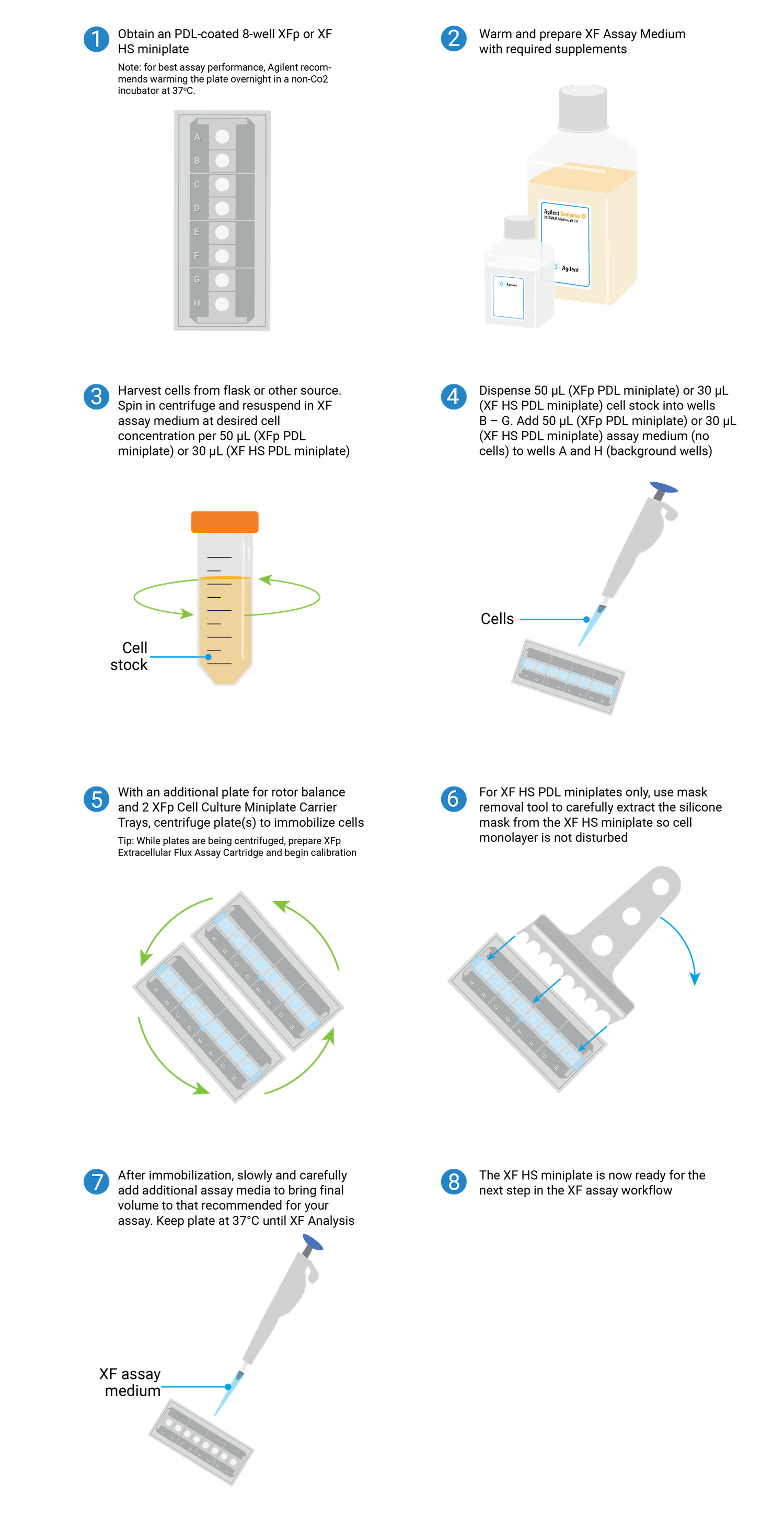 XFp PDL workflow