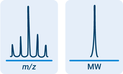 Automate molecular weight confirmation icon