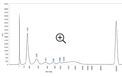 cfDNA separations on the Fragment Analyzer system with the HS Large Fragment 50kb kit