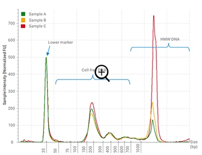 cfDNA Samples on the TapeStation system