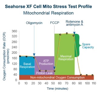 Seahorse XF 細胞線粒體壓力測試試劑盒