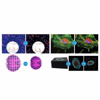 BioTek Gen5 Software for Imaging & Microscopy