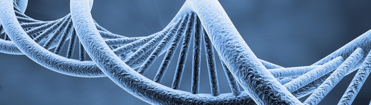 Methyl-Seq Reagents