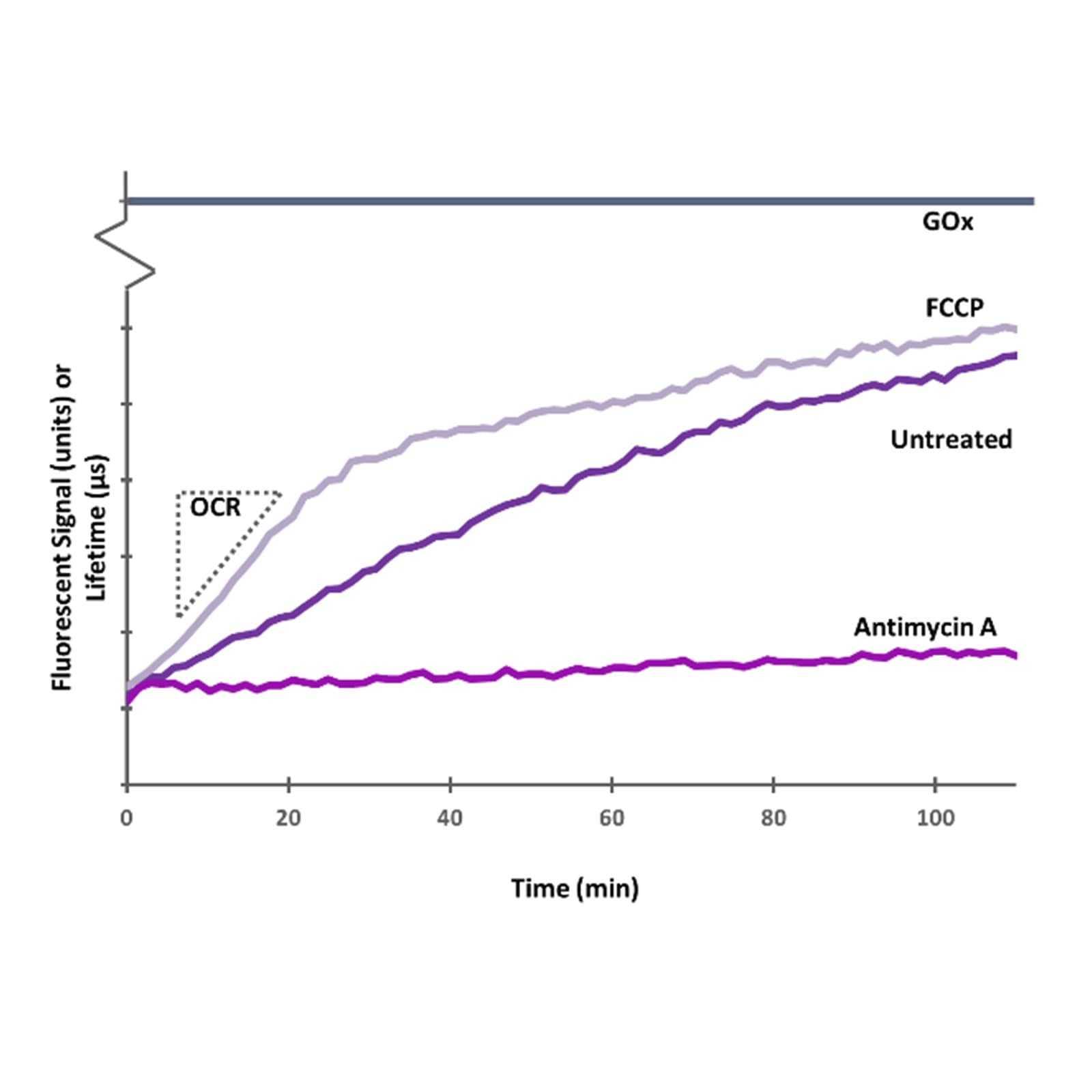 MitoXpress Xtra Oxygen Consumption Assay