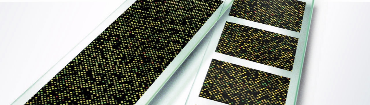 Custom Microarrays