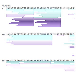 BioConfirm Software