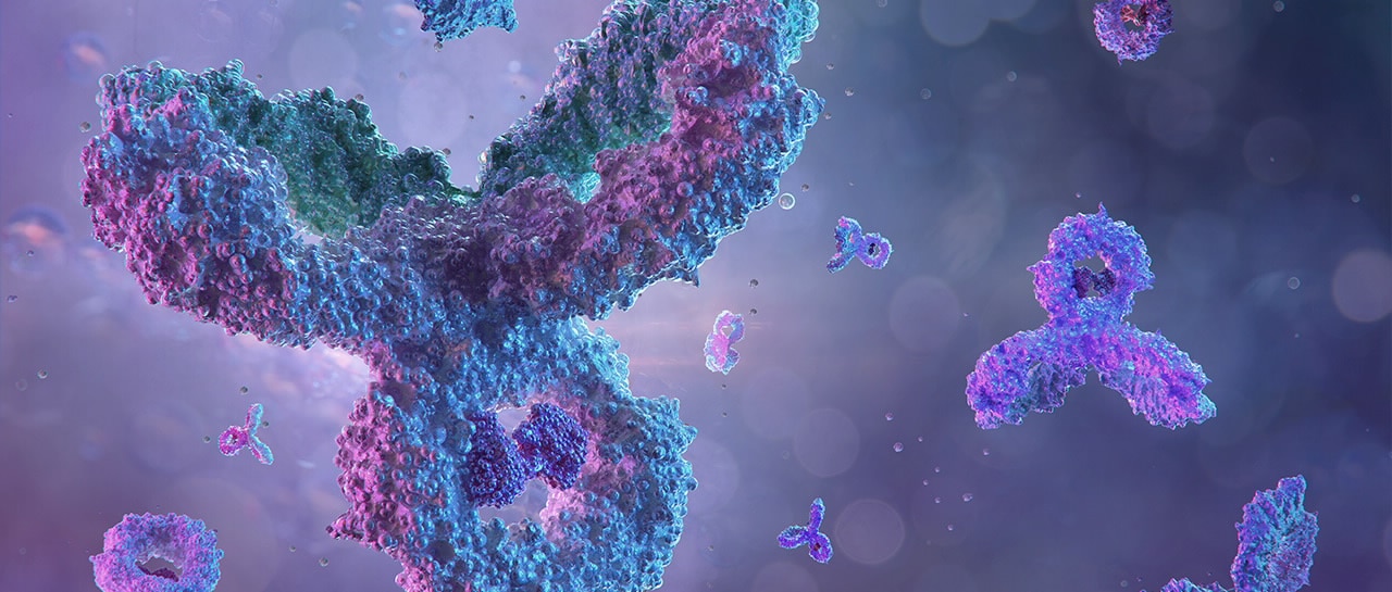 Glycan Analysis Columns