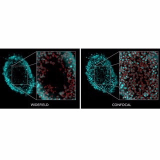 BioTek Cytation C10 共聚焦微孔板成像檢測系統